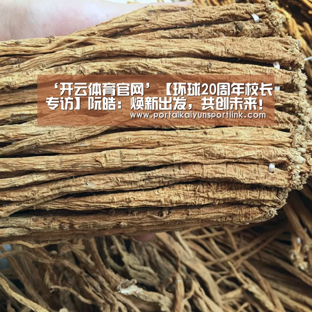‘开云体育官网’【环球20周年校长专访】阮皓:焕新出发,共创未来!(图1) 开云体育官网