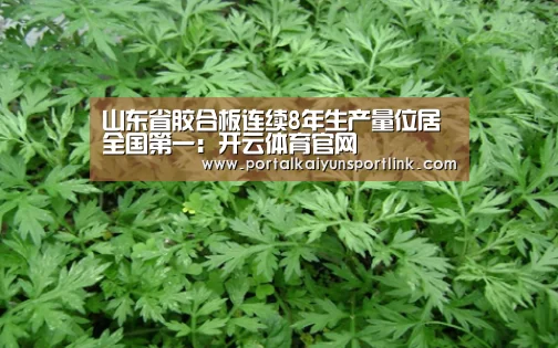山东省胶合板连续8年生产量位居全国第一:开云体育官网(图2) 开云体育数据