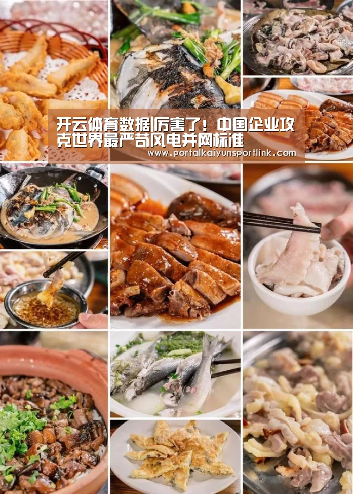 开云体育数据|厉害了!中国企业攻克世界最严苛风电并网标准(图1) 开云体育官网