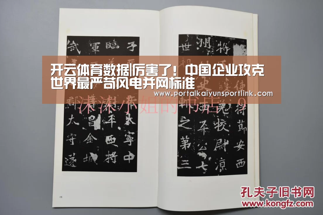 开云体育数据|厉害了!中国企业攻克世界最严苛风电并网标准(图3) 开云体育官网