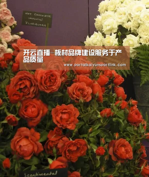 开云直播-板材品牌建设服务于产品质量(图1) 开云直播