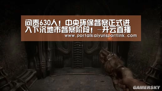 问责630人!中央环保督察正式进入下沉地市督察阶段!-开云直播(图2) 开云体育官网