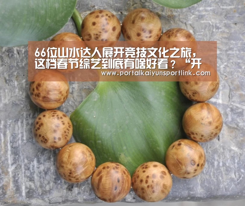 66位山水达人展开竞技文化之旅,这档春节综艺到底有啥好看?“开云直播”(图3) 开云体育数据