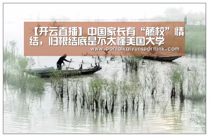 开云体育数据