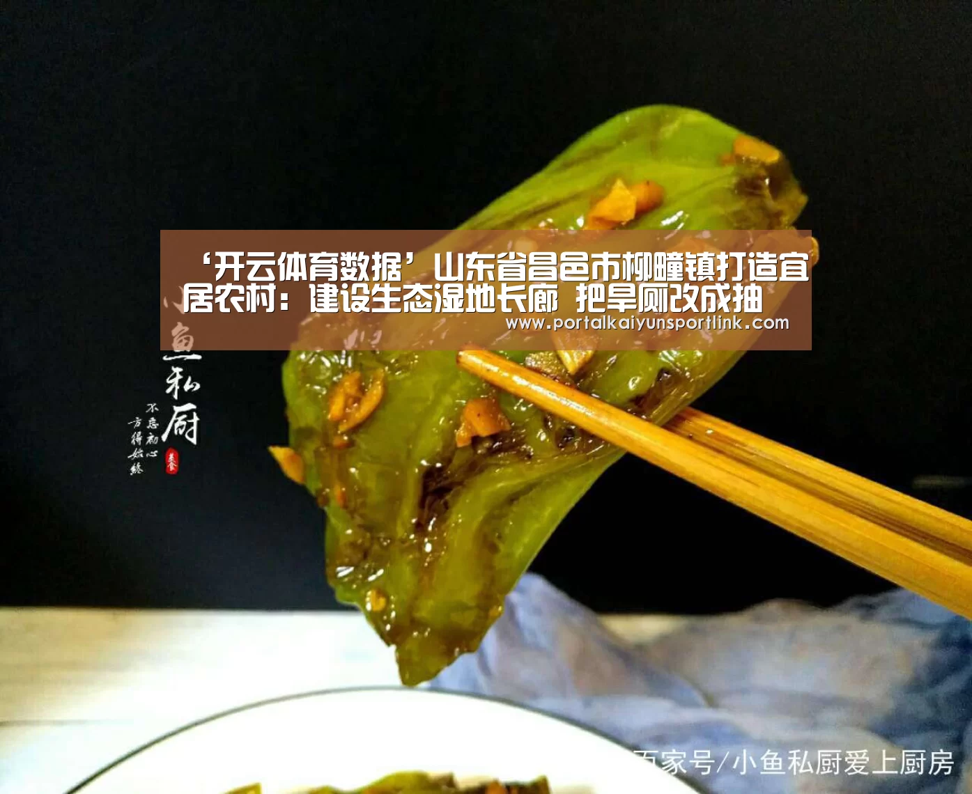 ‘开云体育数据’山东省昌邑市柳疃镇打造宜居农村:建设生态湿地长廊 把旱厕改成抽水马桶(图2) 开云直播