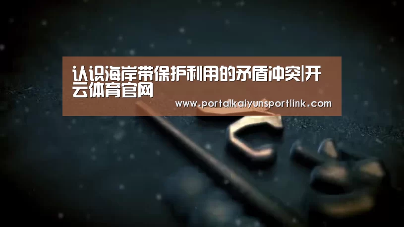 认识海岸带保护利用的矛盾冲突|开云体育官网(图2) 开云直播