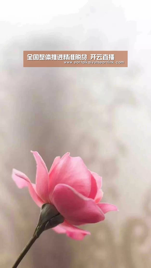 全国整体推进精准脱贫_开云直播