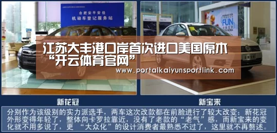 江苏大丰港口岸首次进口美国原木“开云体育官网”(图3) 开云直播