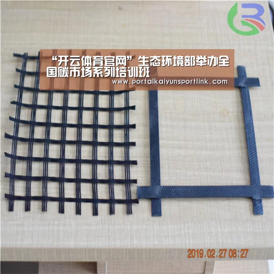 “开云体育官网”生态环境部举办全国碳市场系列培训班(图2) 开云体育官网