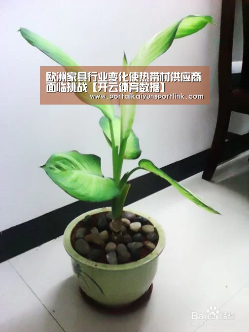 欧洲家具行业变化使热带材供应商面临挑战【开云体育数据】(图2) 开云体育数据