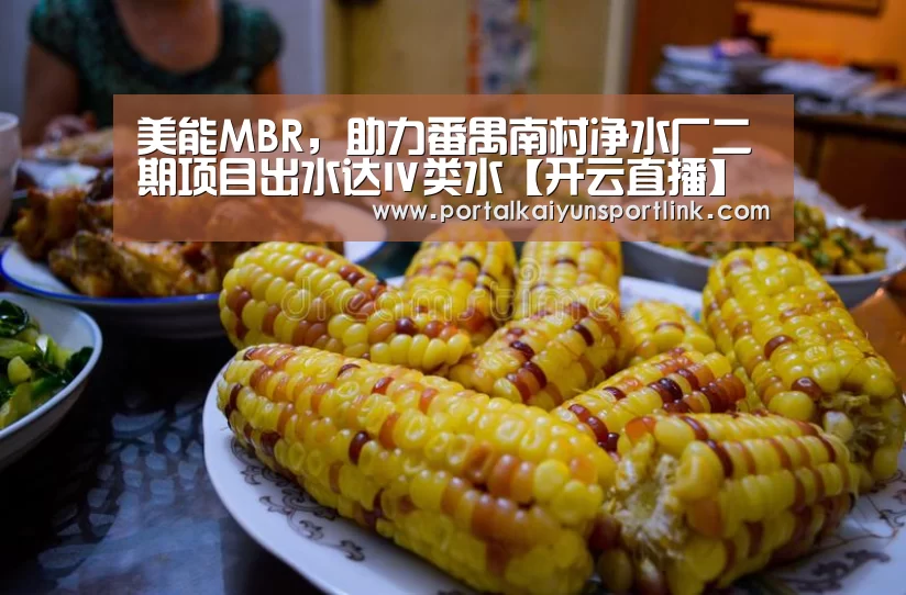 美能MBR,助力番禺南村净水厂二期项目出水达Ⅳ类水【开云直播】(图1) 开云体育数据