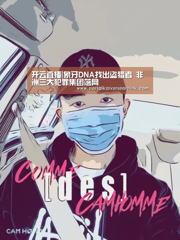 开云直播