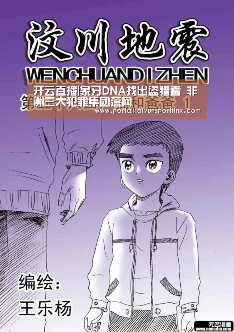 开云体育数据
