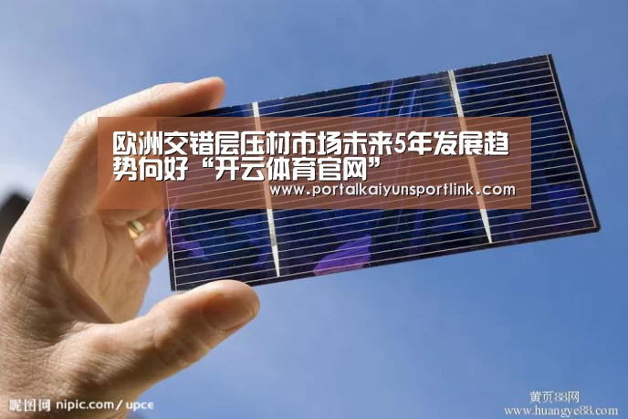 开云体育数据